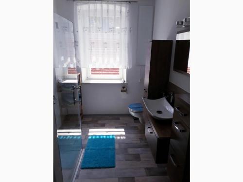 a bathroom with a window and a blue rug at I "Old School" Comfortable holiday residence in Reinhardtsdorf