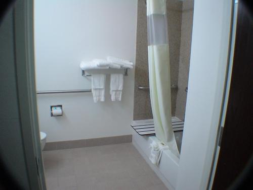 Bagno di Budget Host Inn and Suites Cameron