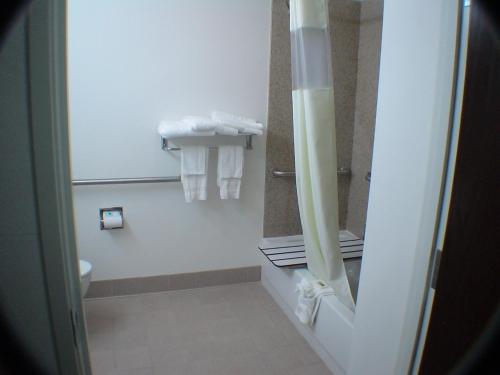 Koupelna v ubytování Budget Host Inn and Suites Cameron