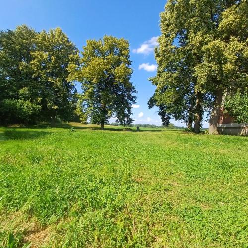 a field of green grass with trees in the background at statek U Špuláka in Lomnice nad Lužnicí
