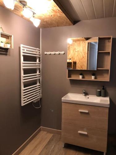 une salle de bain avec un lavabo et un miroir dans l'établissement Gîte de la Rhumerie, à Frampas