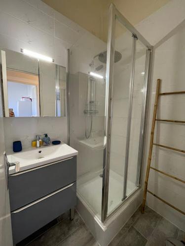 une salle de bain avec douche et lavabo dans l'établissement Charmante maison à Le Barcarès, au Barcarès