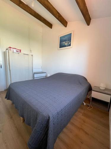 Charmante maison à Le Barcarès