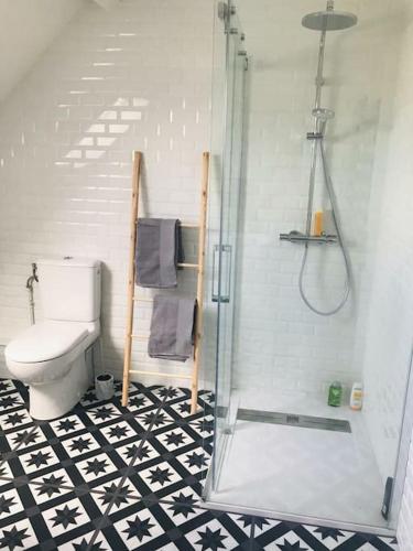 une salle de bain avec toilettes et douche en verre dans l'établissement Le Colombier, à Le Vaudoué