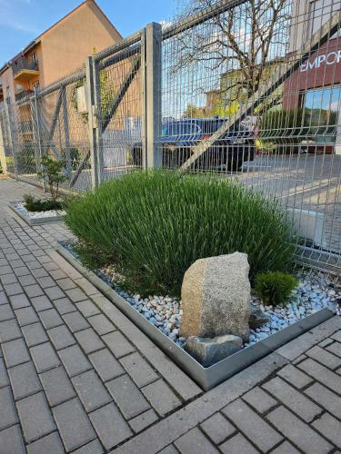 a garden with a rock in front of a fence at Wellness Apartmány EMPORIO in Loštice