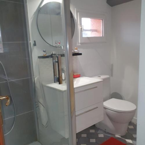 une petite salle de bain avec toilettes et douche dans l'établissement les couleurs du sud, à Aix-en-Provence