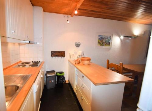 une cuisine avec un comptoir et un évier dans l'établissement Résidence Le Nanda Devi - 2 Pièces 5 pers - LE NANDA DEVI - PLAGNE CENTRE -wifi MAE-8894, à Aime La Plagne