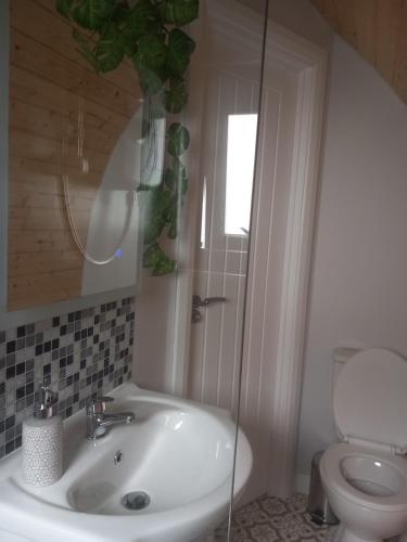 Koupelna v ubytování Seaview Glamping Cabin Inishowen