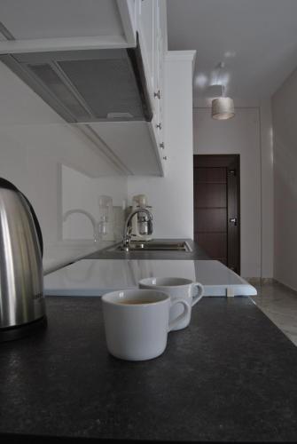 a kitchen with a sink and a cup on a counter at Peti's Apartment in Prinos