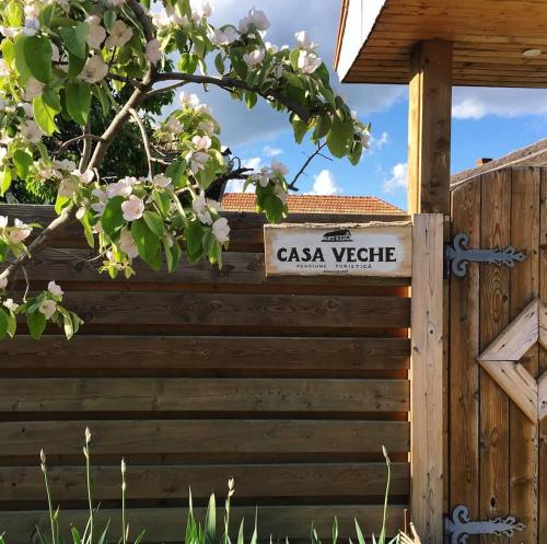 Fotografie z fotogalerie ubytování Pensiunea Casa Veche v destinaci Palanca