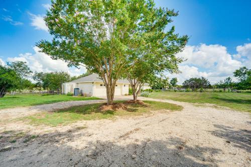 a tree in the middle of a dirt road at Pin Oak Farmhouse with Patio in Dripping Springs in Dripping Springs