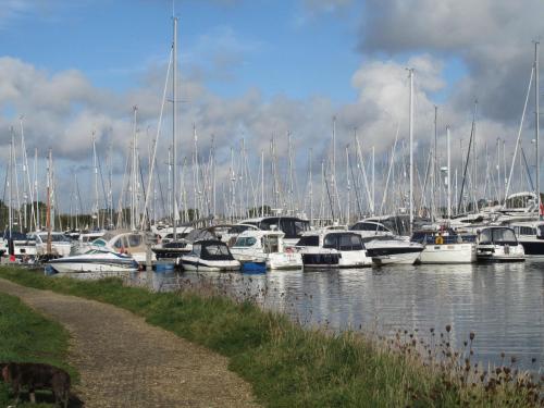 a bunch of boats docked in a harbor at Albertine ,A warm welcome awaits you ,Offering en-suite room only accommodation,Ideal location for Solent Way ,High Street ,Isle of Wight ,New Forest in Lymington