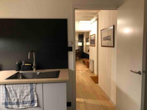 une cuisine avec un évier et un plan de travail dans l'établissement Magnifique appartement dans l'hypercentre, à Nantes