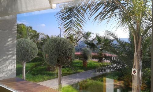 a view of a garden from a window with trees at Casa Gabriel in Picassent