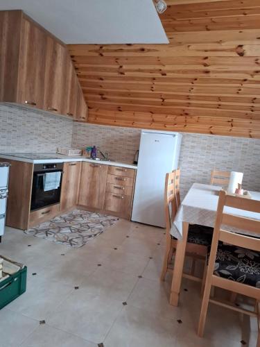 Kuchyň nebo kuchyňský kout v ubytování Apartman JOVANA