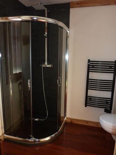 La salle de bains est pourvue d'une douche en verre et de toilettes. dans l'établissement Premier étage d'une ferme rénovée, à Passy