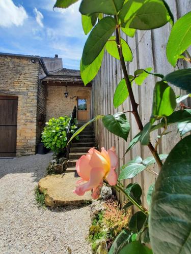 a house with a fence and a pink flower at L'Imprévu - Maison de vigneron à deux pas de Vézelay in Tharoiseau