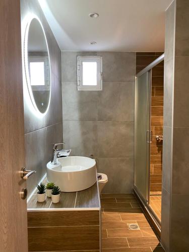 a bathroom with a sink and a mirror at SK Apartment in Neoi Epivates