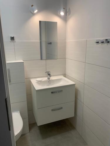 Bilik mandi di Albatrosa 17 - apartament nr 3