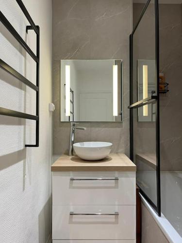 une salle de bain avec un lavabo blanc et un miroir dans l'établissement Charmant appart proche Stanislas, à Nancy
