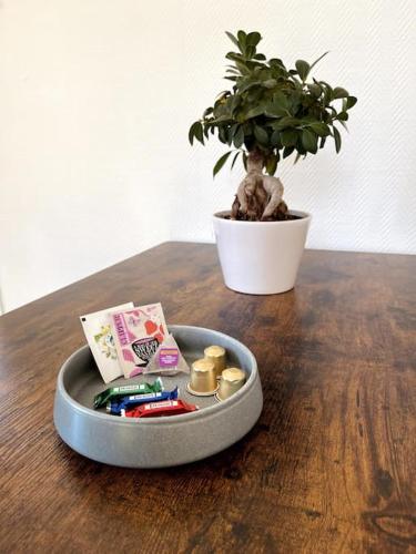 un cendrier jouet sur une table en bois avec une plante dans l'établissement Charmant appart proche Stanislas, à Nancy
