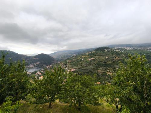 a view of a valley with trees and a river at Quinta do Tojo in Alufinha