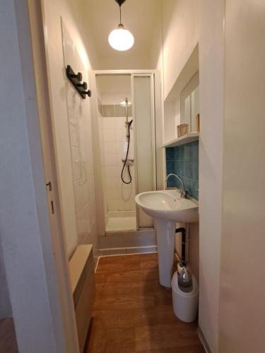 une salle de bain blanche avec un lavabo et une douche dans l'établissement Studio confortable centre ville Poitiers, à Poitiers