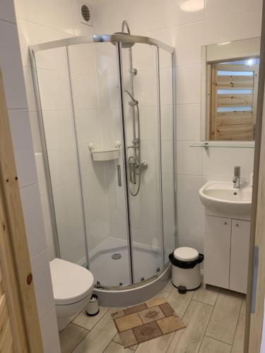 a bathroom with a shower and a toilet and a sink at Apartamenty Trawers in Wielen Zaobrzanski