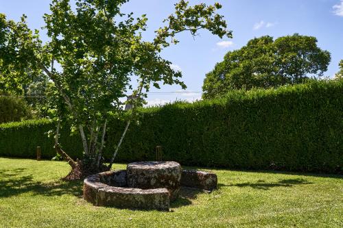 a garden with a tree and a bench in the grass at Solar de Vilar Seco in Vilar Seco