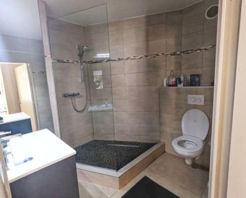 une salle de bain avec une douche avec des toilettes et un lavabo dans l'établissement Appartement à deux pas du centre, à Cannes