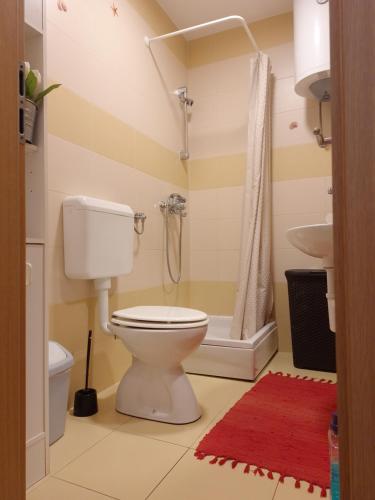 Fotografie z fotogalerie ubytování Olive tree apartment v destinaci Bibinje