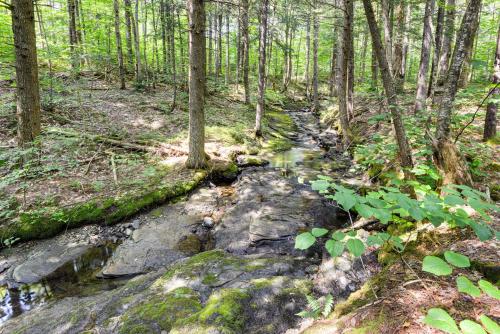 a stream in a forest with trees and rocks at 6 Mi to Mt Snow Nature-View Home with Fire Pit! in West Dover