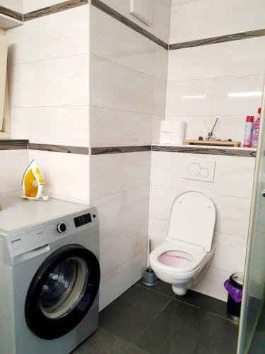 a bathroom with a washing machine and a toilet at Luxury Villa Vienna in Mauerbach