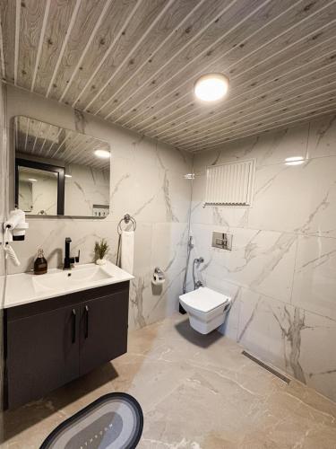 a bathroom with a sink and a toilet at Dağhan Bungalov in Çamlıhemşin