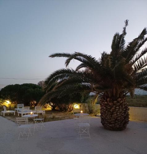 a palm tree sitting next to a table and chairs at Giosifaki in Vari