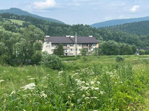 a large building in the middle of a field at Apartament pod Honem in Cisna