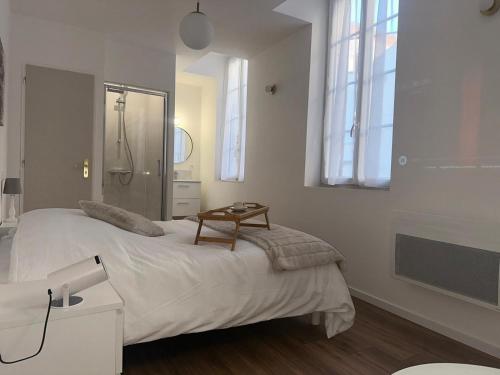 una camera bianca con letto e doccia di Maison des ambans chambres d'hotes hypercentre 200m de la gare et petit dejeuner inclus a Agen
