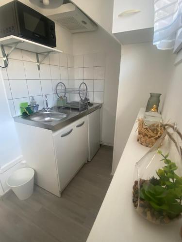 une petite cuisine avec un évier et un micro-ondes dans l'établissement Charmant appartement proche CDG, à Tremblay-en-France