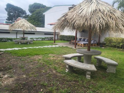 BnB Ecostayにある庭