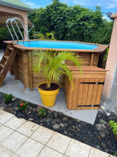 a hot tub with a potted plant in a yard at Maison de campagne proche des plages in Sainte-Rose