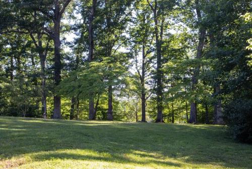 a lush green field with trees in a park at Meadow View Acres - 6 acre spacious estate 20 min from UVA in Charlottesville