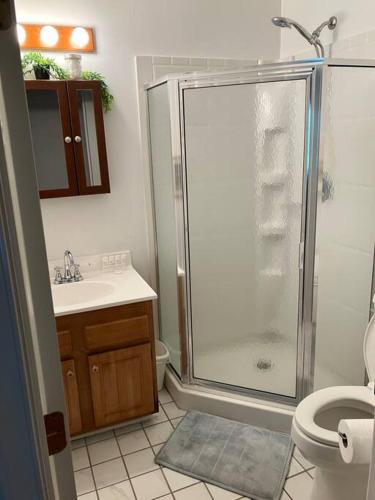 a bathroom with a shower and a toilet and a sink at Meadow View Acres - 6 acre spacious estate 20 min from UVA in Charlottesville