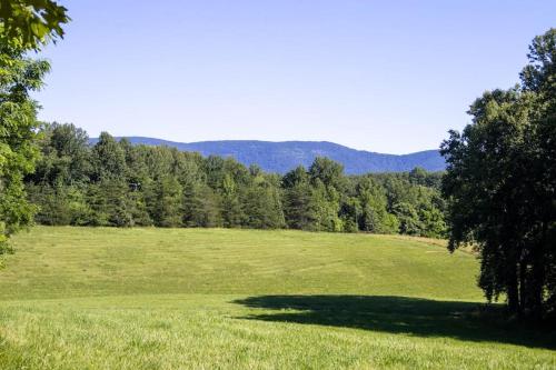a large green field with trees in the background at Meadow View Acres - 6 acre spacious estate 20 min from UVA in Charlottesville