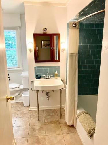 a bathroom with a sink and a mirror and a shower at Meadow View Acres - 6 acre spacious estate 20 min from UVA in Charlottesville