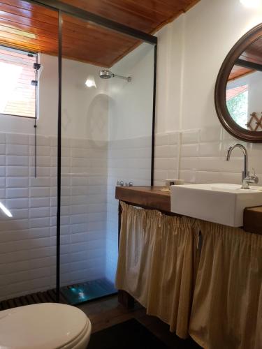 a bathroom with a sink and a toilet and a mirror at Sítio em Lumiar com piscina natural, sauna, churrasqueira e lareira in Nova Friburgo