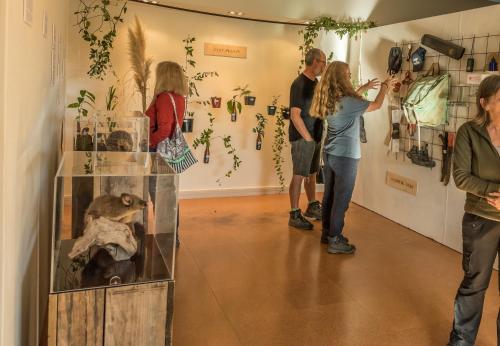 a group of people looking at a display in a museum at Tasman Holiday Parks - Coromandel in Coromandel Town
