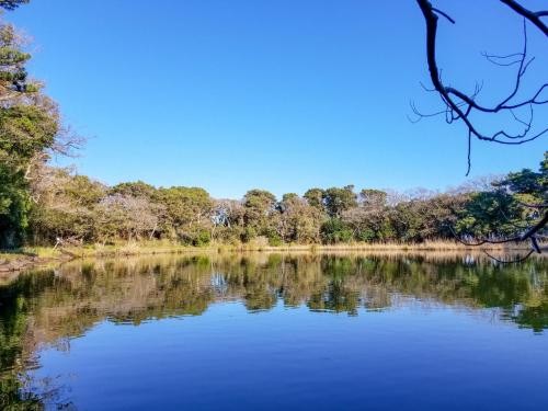 Gallery image of natureinn OSEKAN in Numazu