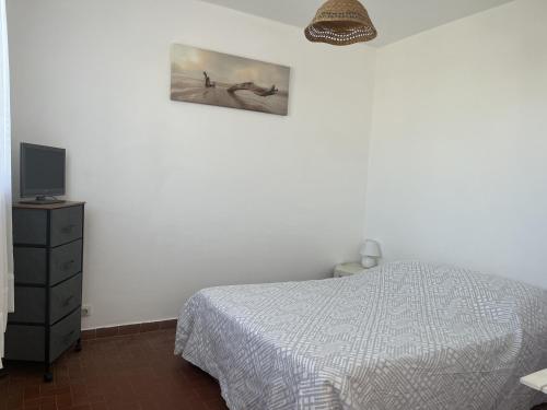 une chambre avec un lit et une télévision sur un mur dans l'établissement Le Barcarès, studio pour 2, terrasse, parking, animaux bienvenus, accès direct plage - FR-1-799-1, au Barcarès