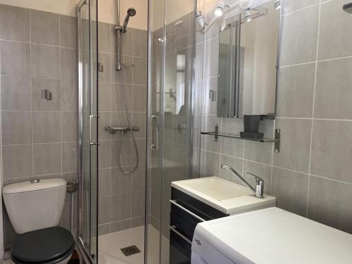 une salle de bain avec une douche, des toilettes et un lavabo dans l'établissement Spacieux T2 pour 4p avec terrasse, parking privé à 400m de la plage, quartier animé, animaux OK - FR-1-799-9, au Barcarès