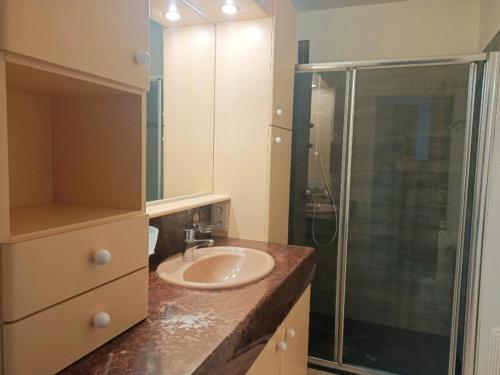 une salle de bain avec un lavabo et une douche en verre dans l'établissement Spacieux T3 au Barcarès avec piscine, ascenseur, parking sécurisé, animaux admis - FR-1-799-8, au Barcarès